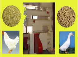 Chicken Feed Machine 