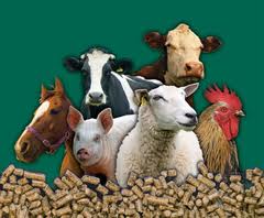 animals pellets 